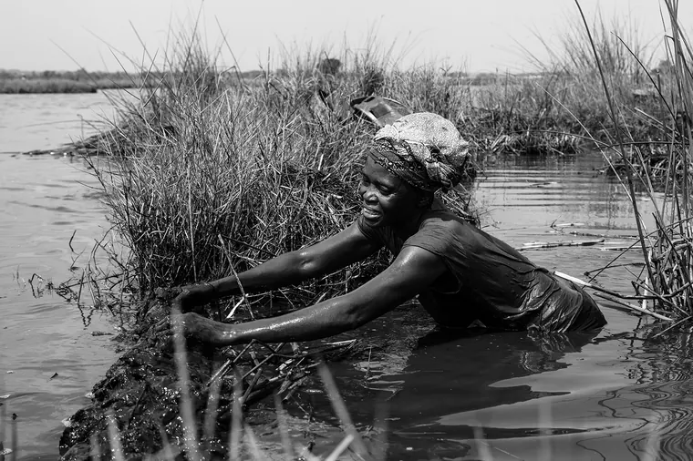 Aloxè, la pêche à la main