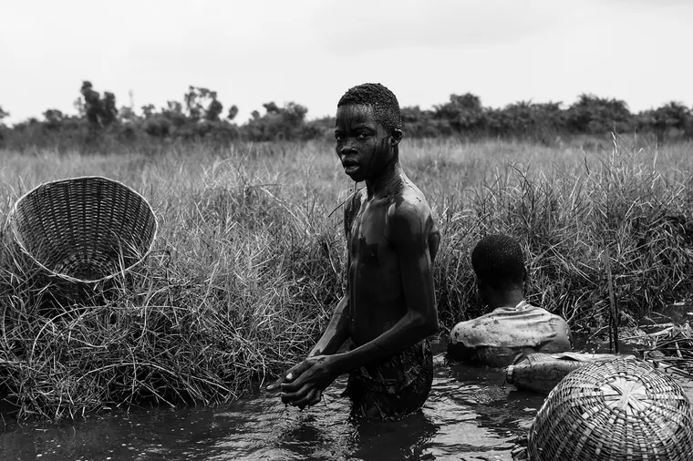 Aloxè — photographie