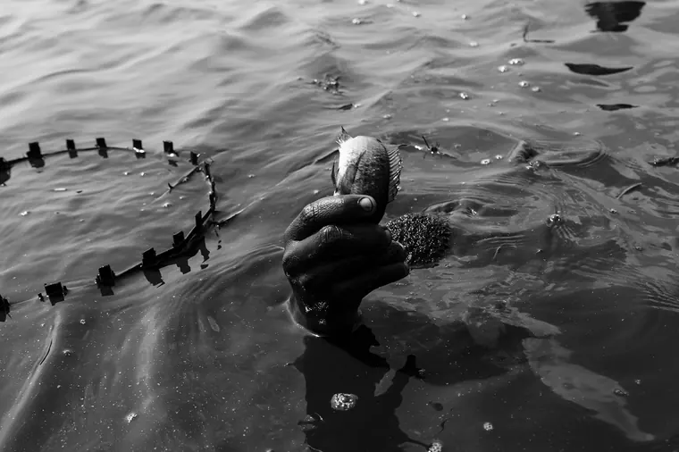 Aloxè — photographie
