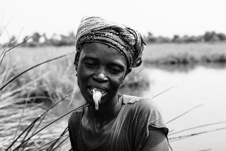 Aloxè — photographie