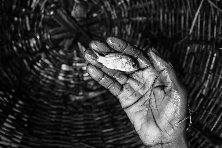 Aloxè — photographie