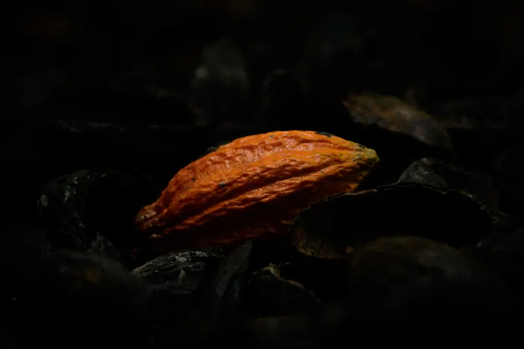 Liké n’ga bé oumingni — photographie