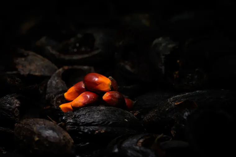 Liké n’ga bé oumingni — photographie
