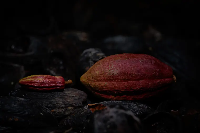 Liké n’ga bé oumingni — photographie
