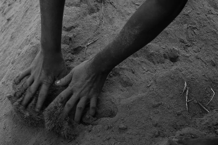 Sika hi — photographie