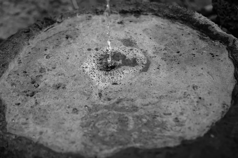 Sika hi — photographie