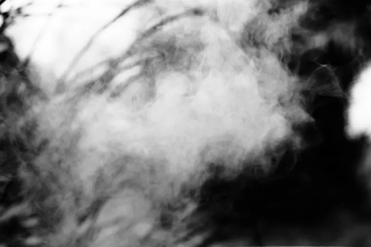 Sika hi — photographie