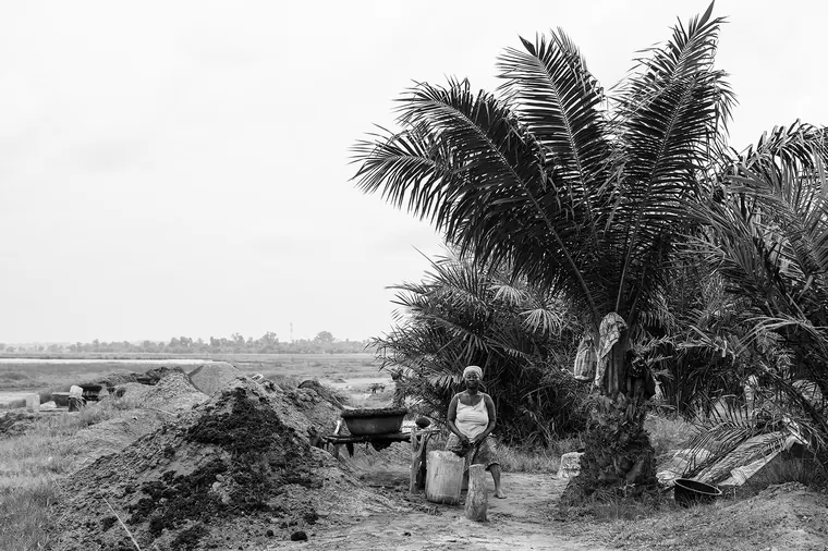 Sika hi — photographie